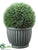 Cedar Ball Topiary - Green - Pack of 1