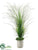 Tall Grass - Green - Pack of 1