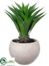 Silk Plants Direct Agave - Green - Pack of 1