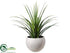 Silk Plants Direct Dracaena Plant - Green - Pack of 1