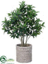 Silk Plants Direct Skiba Tree - Green - Pack of 1
