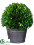 Silk Plants Direct Preserved Boxwood Ball Topiary - Green - Pack of 1