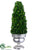 Preserved Boxwood Cone Topiary - Green - Pack of 1