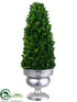 Silk Plants Direct Preserved Boxwood Cone Topiary - Green - Pack of 1