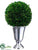 Preserved Boxwood Ball Topiary - Green - Pack of 1