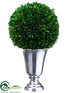 Silk Plants Direct Preserved Boxwood Ball Topiary - Green - Pack of 1