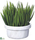 Silk Plants Direct Senecio - Green - Pack of 1