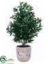 Silk Plants Direct Olive Tree - Green - Pack of 1