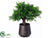 Button Leaf Tree - Green - Pack of 1