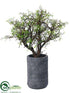 Silk Plants Direct Mini Leaf Tree - Green - Pack of 1