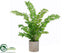 Silk Plants Direct Ruffle Fern - Green - Pack of 1