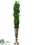 Silk Plants Direct Boxwood - Green - Pack of 1