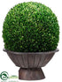 Silk Plants Direct Preserved Boxwood Ball - Green - Pack of 1