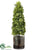 Cedar Cone Topiary - Green - Pack of 1