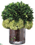 Silk Plants Direct Preserved Boxwood - Green - Pack of 1