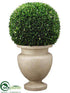 Silk Plants Direct Preserved Boxwood Ball - Green - Pack of 1