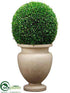Silk Plants Direct Preserved Boxwood Ball - Green - Pack of 1