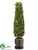 Cedar Cone Topiary - Green - Pack of 1