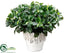 Silk Plants Direct Privet Bush - Green - Pack of 1