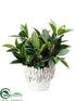 Silk Plants Direct Shikiba - Green - Pack of 1