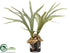 Silk Plants Direct Staghorn Plant - Green - Pack of 1