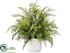 Silk Plants Direct Lace Fern Bush - Green - Pack of 1