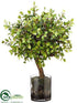 Silk Plants Direct Button Leaf Tree - Green - Pack of 1