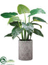 Silk Plants Direct Curcuma Plant - Green - Pack of 1