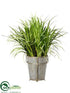 Silk Plants Direct Reed Grass, Cymbidium Foliage - Green - Pack of 1