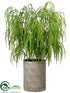 Silk Plants Direct Weeping Juniper Tree - Green - Pack of 1