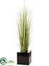Silk Plants Direct Reed Grass - Green - Pack of 1