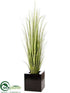Silk Plants Direct Reed Grass - Green - Pack of 1