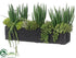 Silk Plants Direct Avage, Senecio, Hanging Cactus Arrangement - Green - Pack of 1