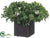 Privet Bloom, Berries Arrangement - Green - Pack of 1