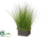 Silk Plants Direct Sedum, Grass Arrangement - Green - Pack of 1