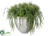Silk Plants Direct Sedum, Cactus Arrangement - Green - Pack of 1