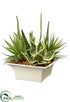 Silk Plants Direct Echeveria, Aloe, Agave - Green - Pack of 1
