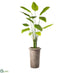 Silk Plants Direct Banana Leaf Plant - Green - Pack of 1