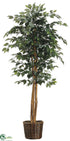 Silk Plants Direct Ficus Tree - Green - Pack of 1