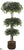 Ficus Triple Ball Topiary - - Pack of 1