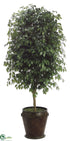 Silk Plants Direct Ficus Tree - Green - Pack of 1