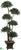 Bay Leaf Topiary - Green - Pack of 1