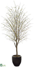 Silk Plants Direct Blossom Tree - Yellow - Pack of 1