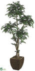 Silk Plants Direct Ming Aralia Tree - Green - Pack of 1