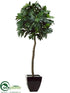 Silk Plants Direct Breadfruit Tree - Green - Pack of 1