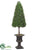 Boxwood Topiary - Green - Pack of 1