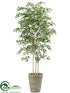 Silk Plants Direct Birch Tree - Green - Pack of 1