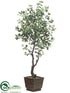 Silk Plants Direct Ficus Tree - Green - Pack of 1