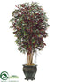 Silk Plants Direct Ficus Tree - Green Red - Pack of 1
