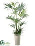 Silk Plants Direct Kentia Palm - Green - Pack of 1